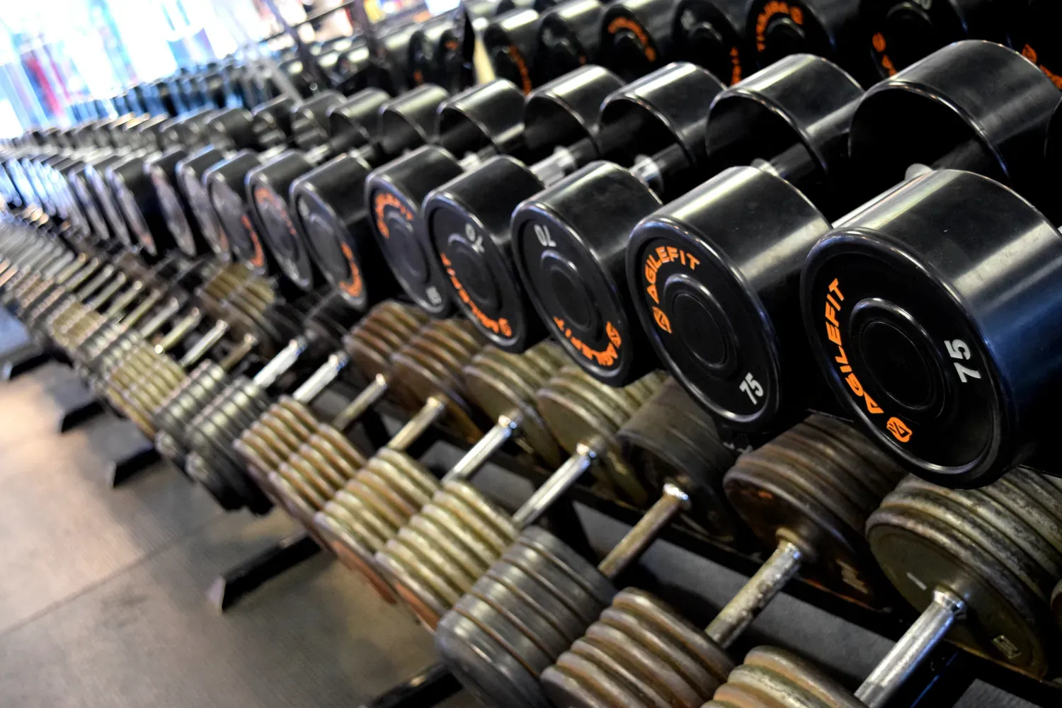 Personal training at Ocean Pacific Gym & Wellness in San Diego
